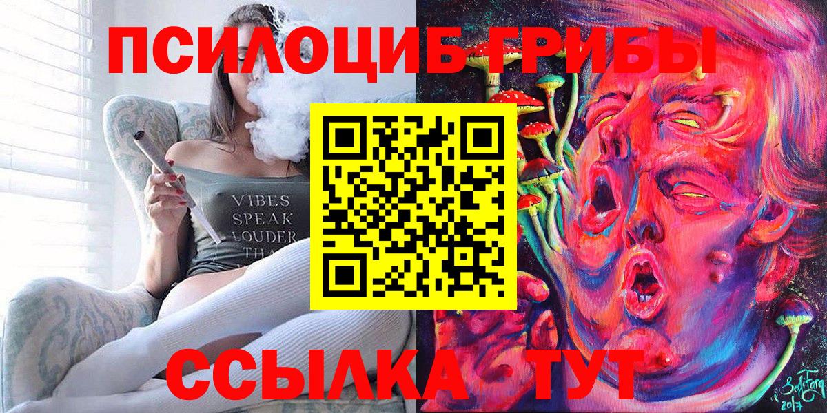 Галлюциногенные грибы Cubensis Сафоново